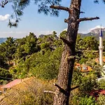 Tatil Evi Olabilir *