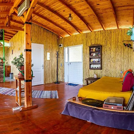 Olabilir * オルタジャ