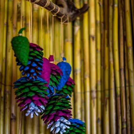 Olabilir 別荘 オルタジャ