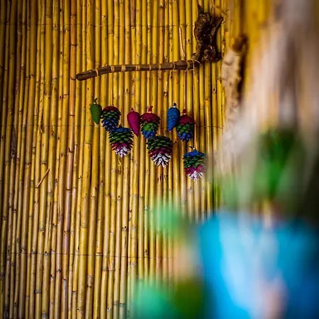 Olabilir * オルタジャ