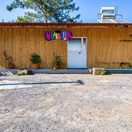 Olabilir オルタジャ