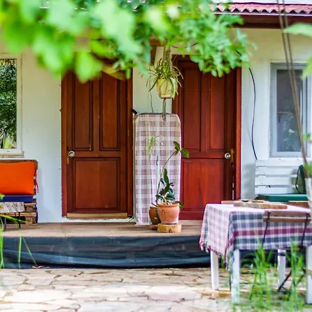 Olabilir * オルタジャ