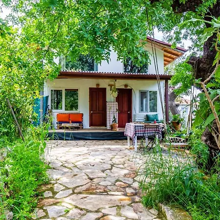 Casa de Férias Olabilir *