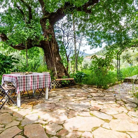 Olabilir * オルタジャ