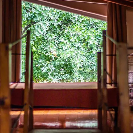 Olabilir 別荘 オルタジャ