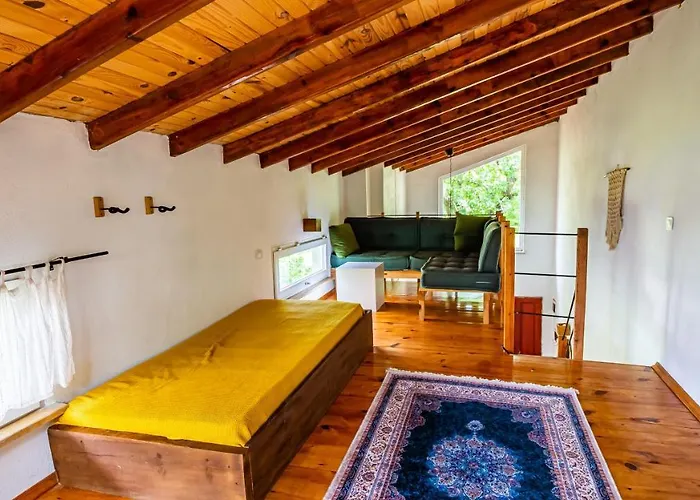 Casa de Férias Olabilir *