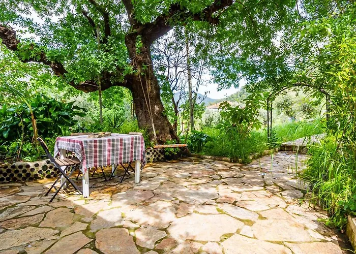 Olabilir * Ortaca (Mugla)