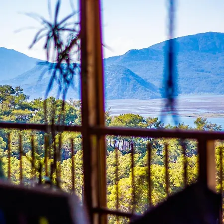 Vakantiehuis Olabilir