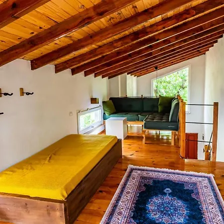 Vakantiehuis Olabilir *